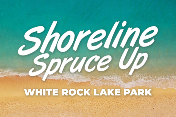 Image of a lake beach and TSPE Dallas Chapter's shoreline cleanup outreach program